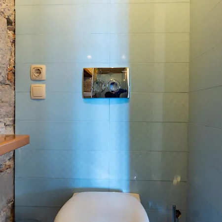 Apartman Old House *